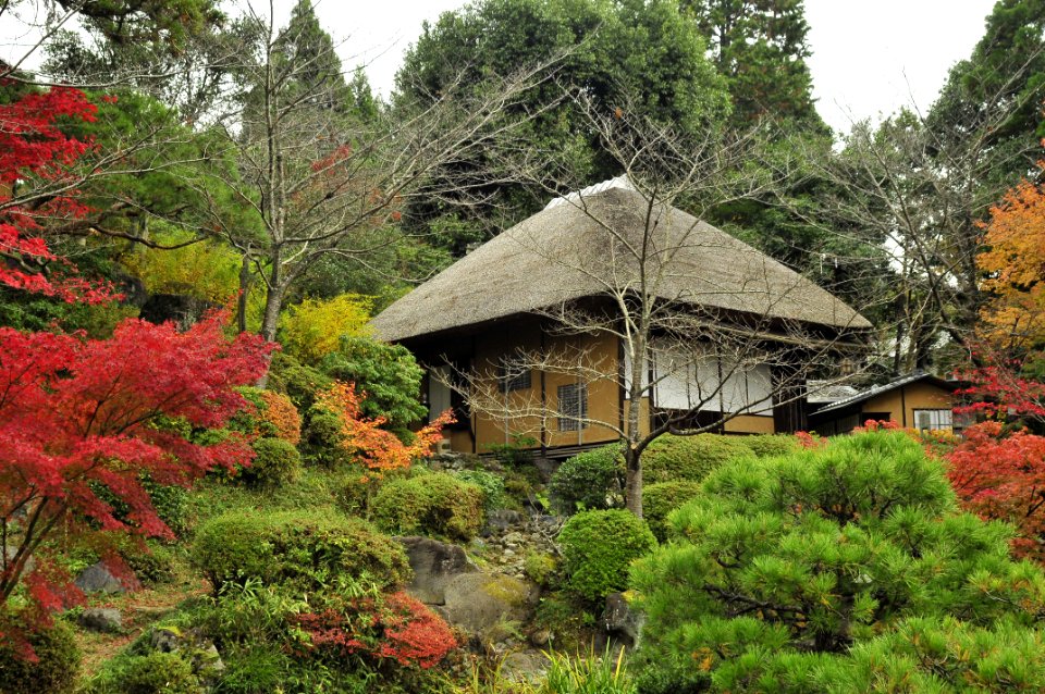 Autumn