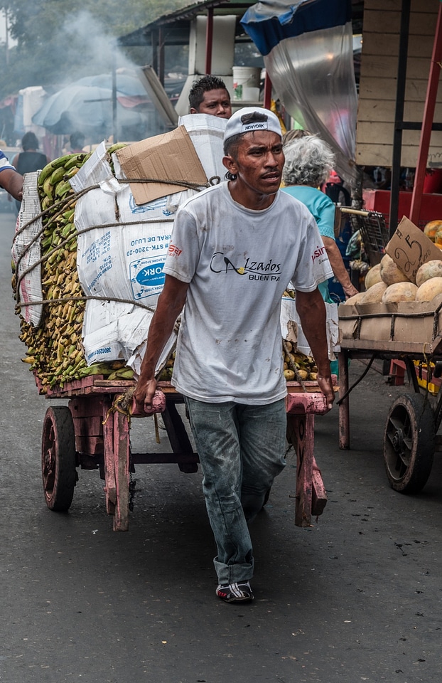 Working cart market