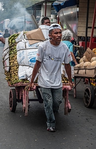 Working cart market