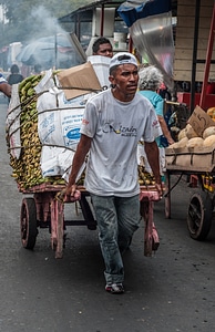 Working cart market photo