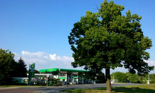 British Petroleum gas station in Tomaszów photo