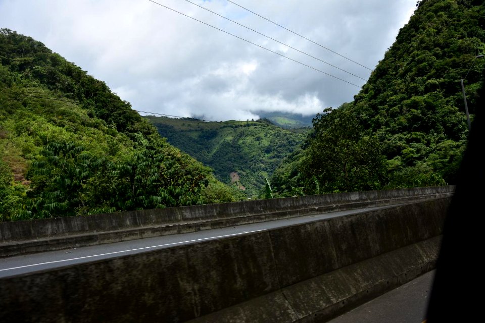 DSC 5978