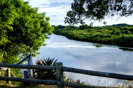 VitorJubini ParqueEstadualItaunas ConceicaodaBarra ES