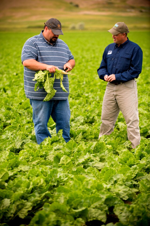 4282 NRCS projects