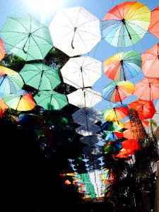 Umbrellas photo