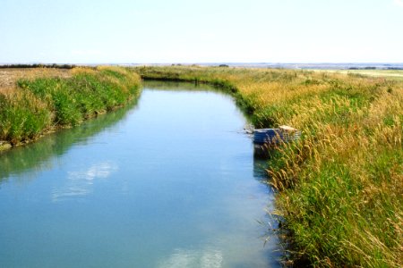 Watersheds29.tif