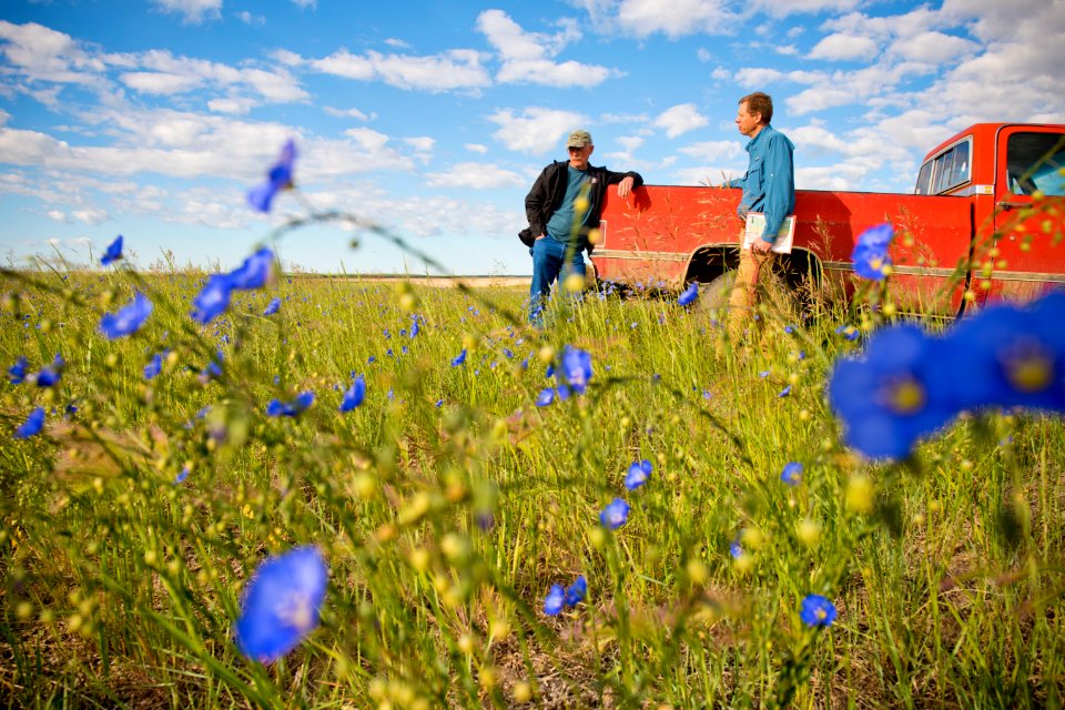 4963 NRCS projects