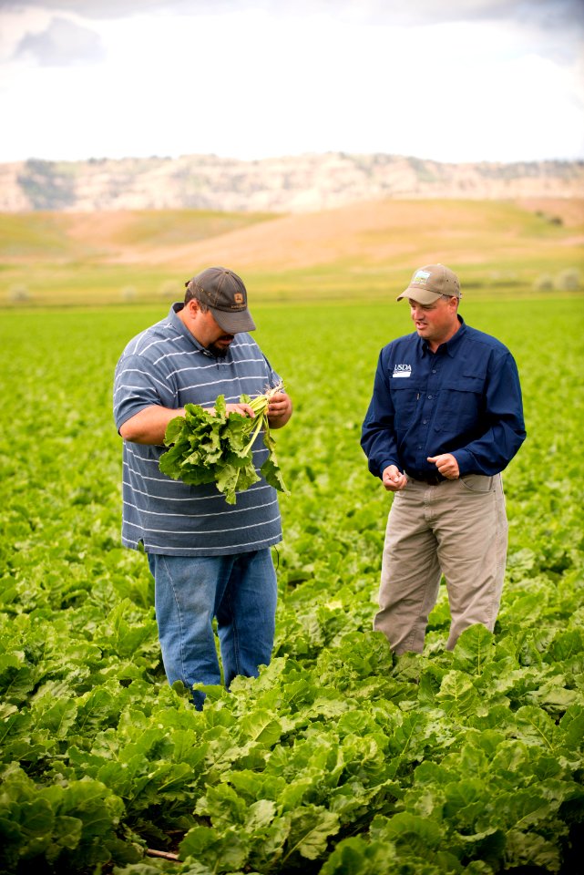 4273 NRCS projects