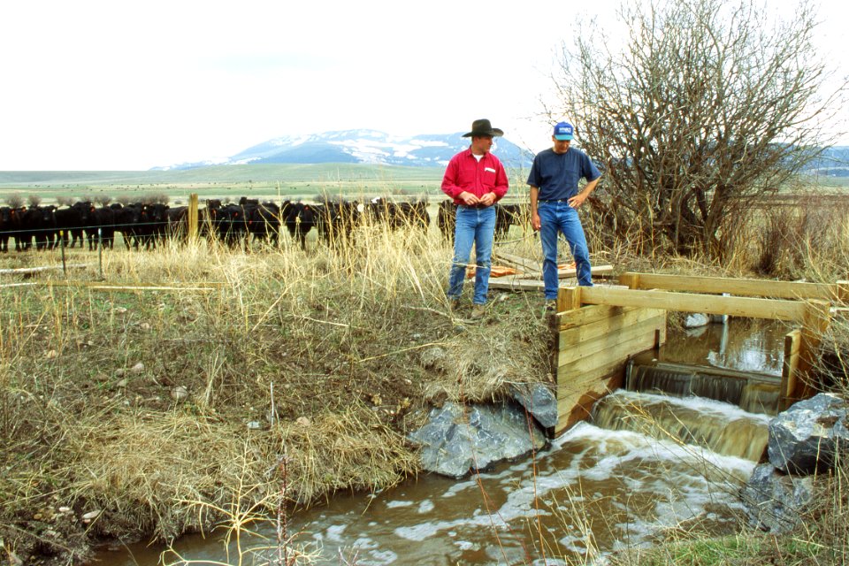 Riparian24.tif
