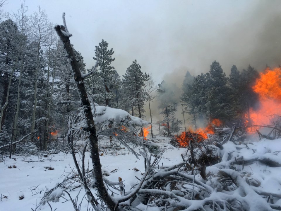Pile Burns in Conifer, CO