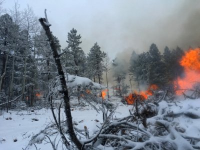 Pile Burns in Conifer, CO