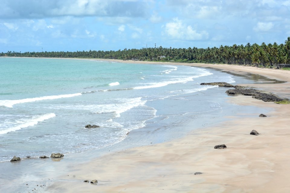 Marco Ankosqui Caminhos para Praia do Toque Sao Miguel Milagres-AL