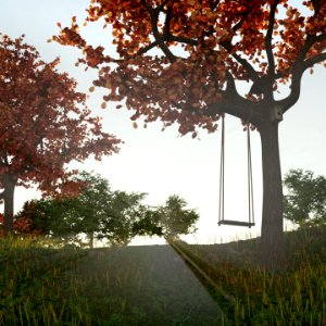 Environment 23