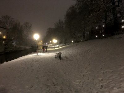 IMG 1300