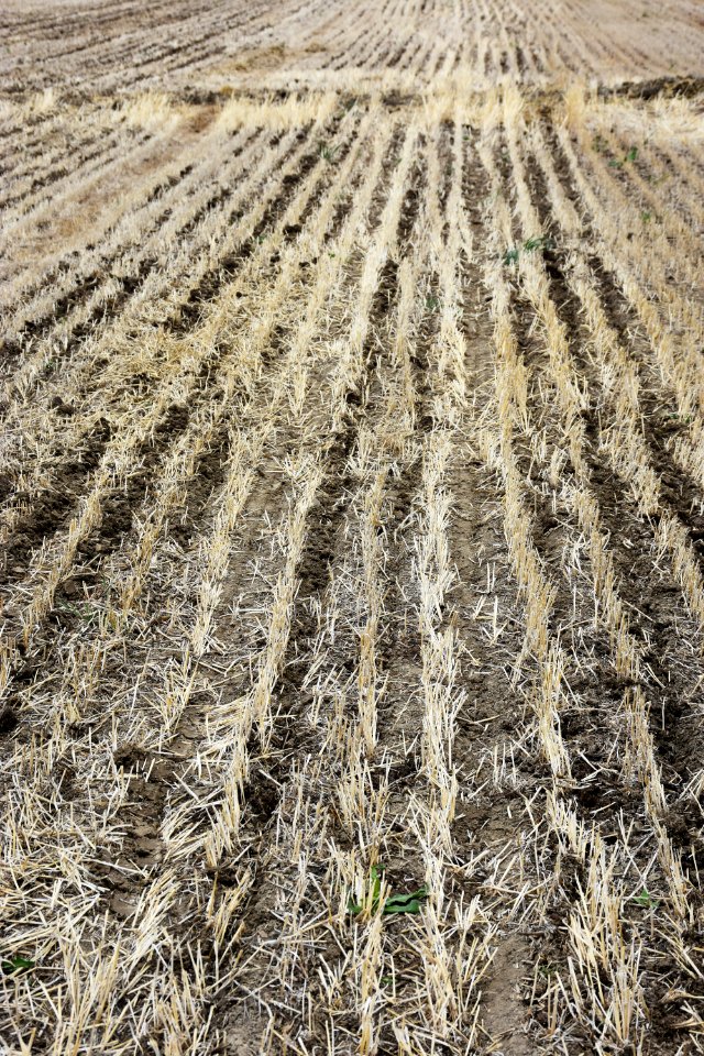 conservationtillage74