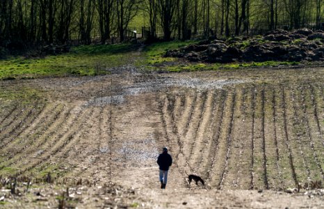 man and dog in the countyside photo
