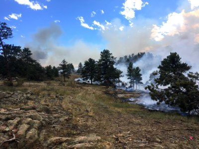 Prescribed Fire in Ponderosa Pine, Red Feather Lakes, CO