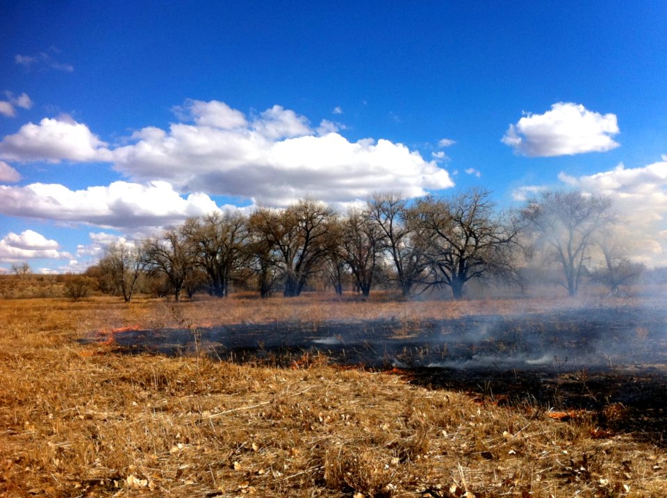 Colorado Grassland Prescribed Fire