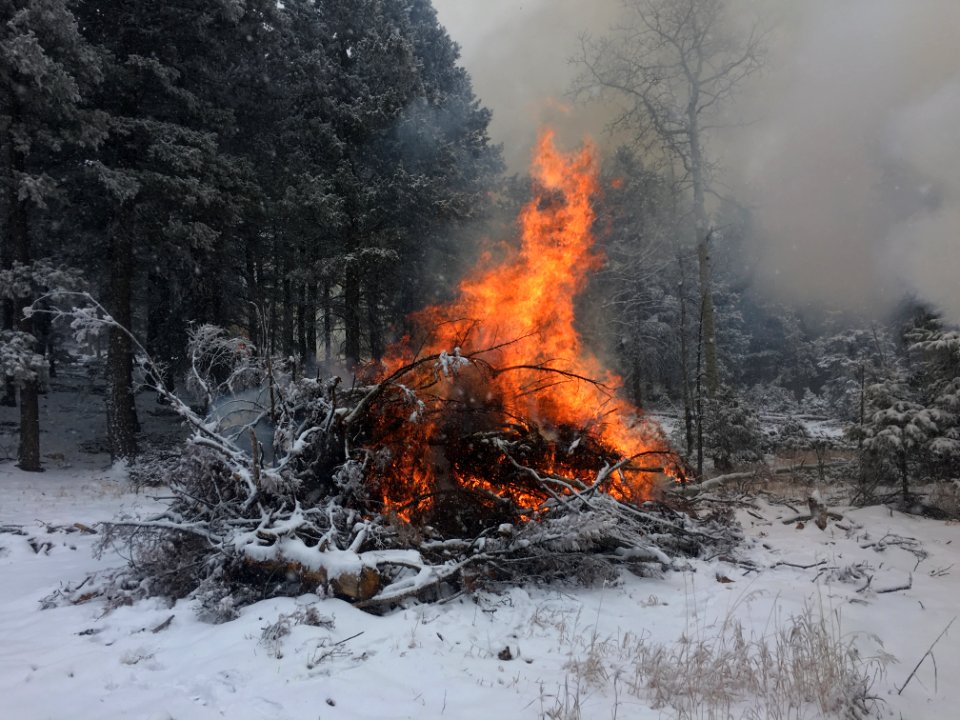 Pile Burns in Conifer, CO