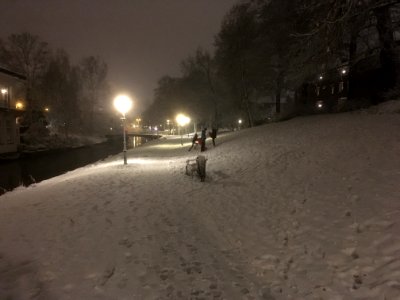 IMG 1301