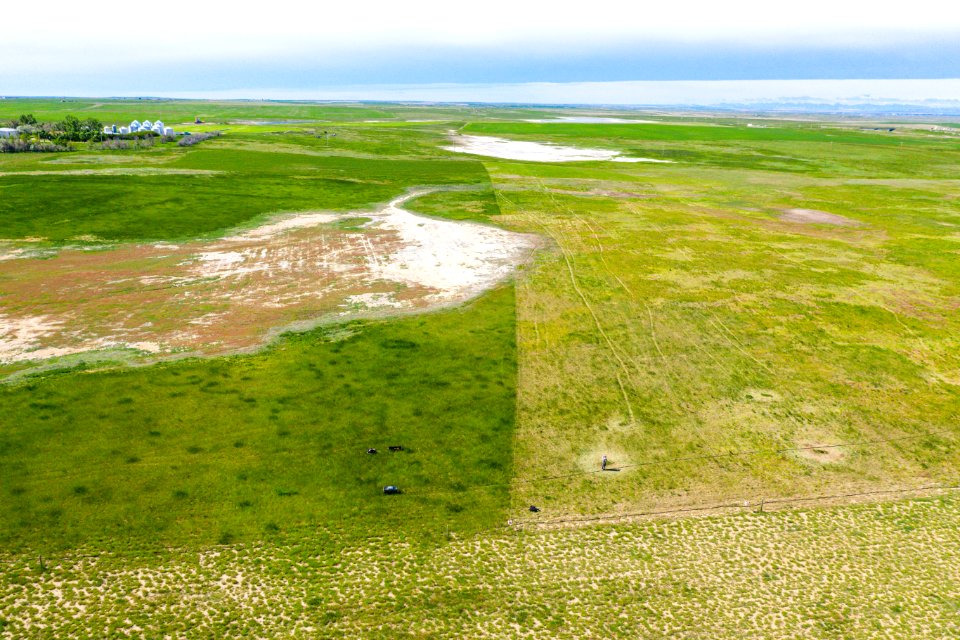 Jgibson Day1 0046 DJI 0171
