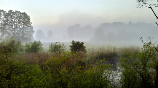 5 am. Pilica River. Still in the city...