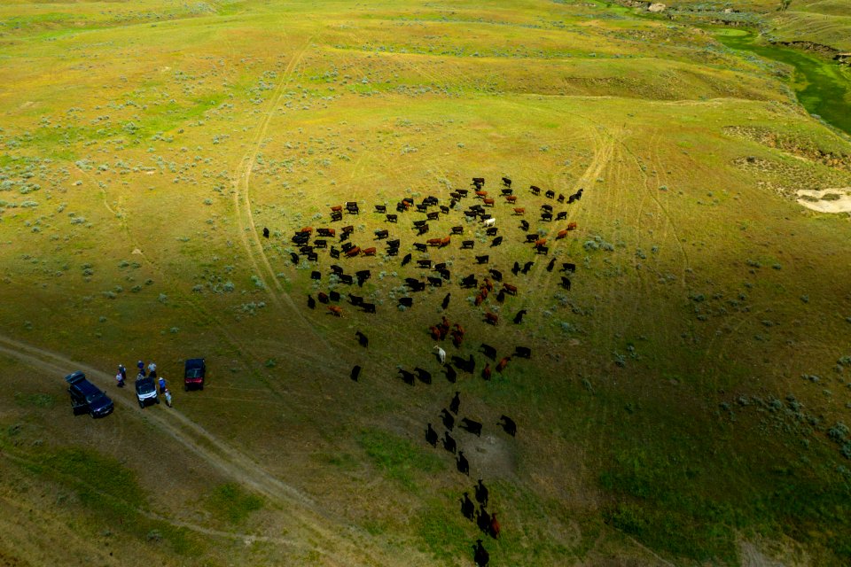 Jgibson Day9 0029 DJI 0972