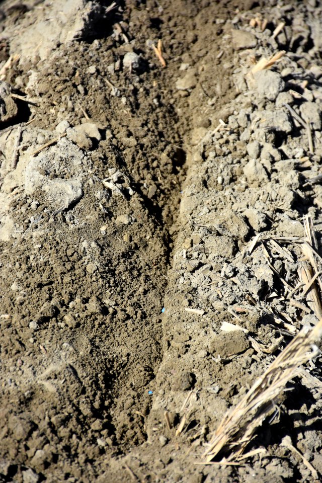 crops122