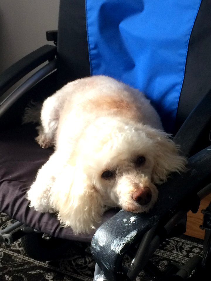 Dylan lounging in his mum's wheelchair, wishing she was feeling better