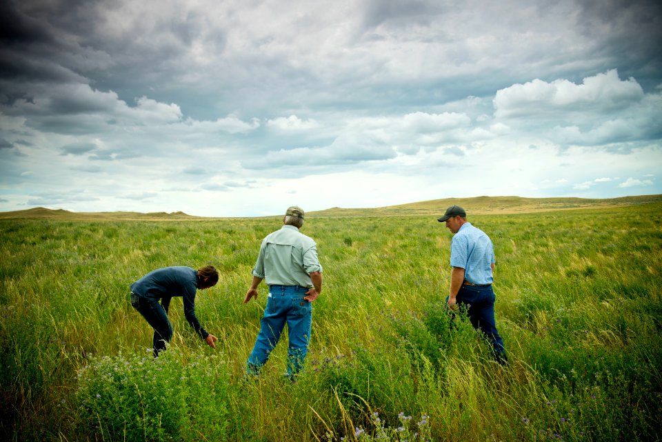 6826 NRCS projects.jpg
