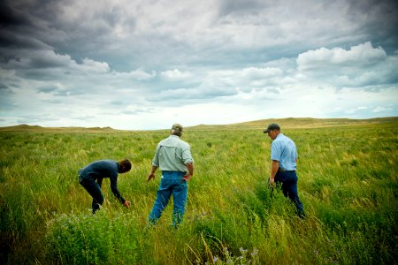 6826 NRCS projects.jpg