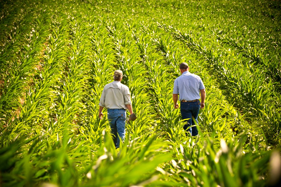 6601 NRCS projects.jpg