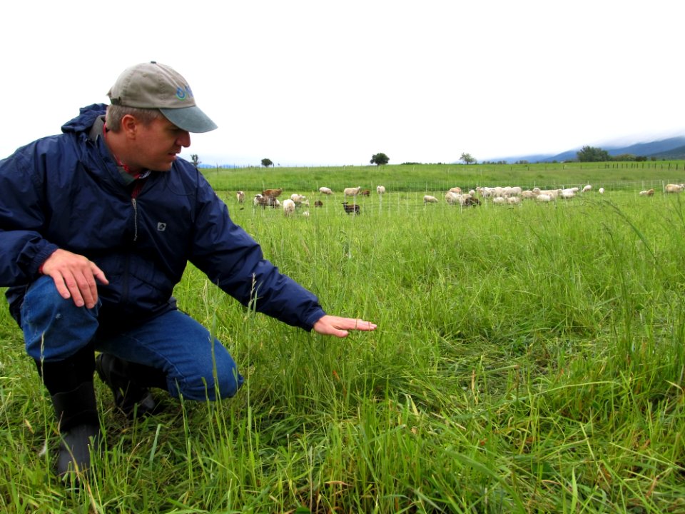Crop Residue Management BM1.JPG