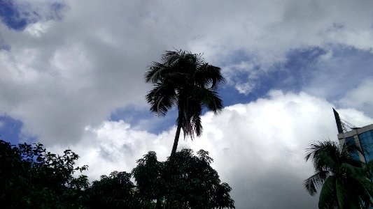 IMG 20161011 135353