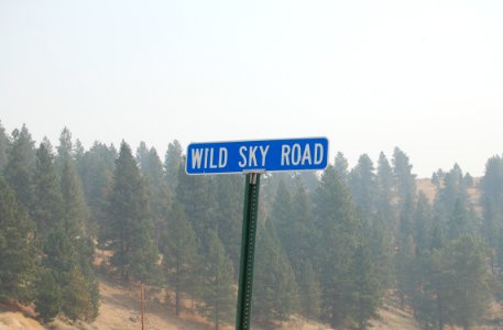 Roads15.tif