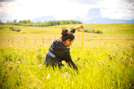 5380 NRCS projects
