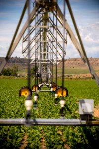 4219 NRCS projects