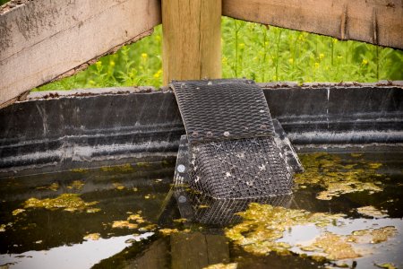 1667 NRCS projects