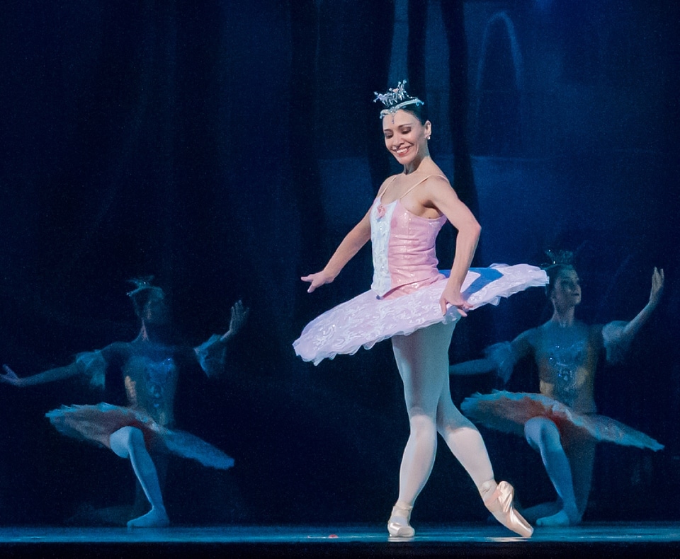 Don quixote dancer woman