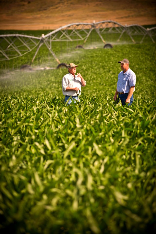 6635 NRCS projects.jpg