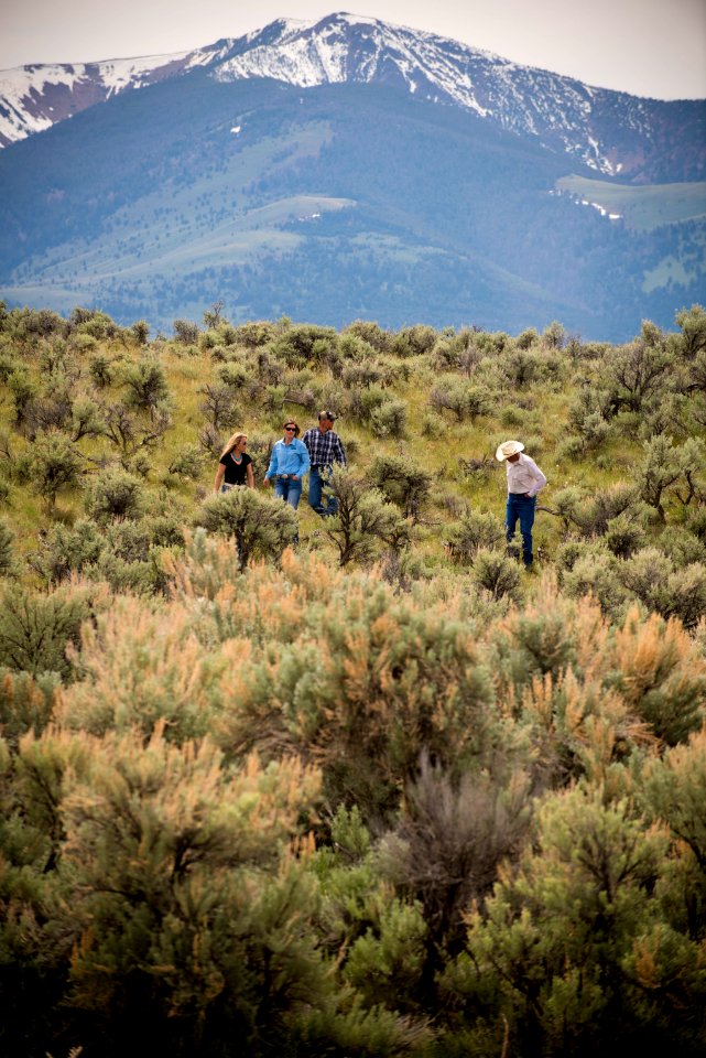 1604 NRCS projects