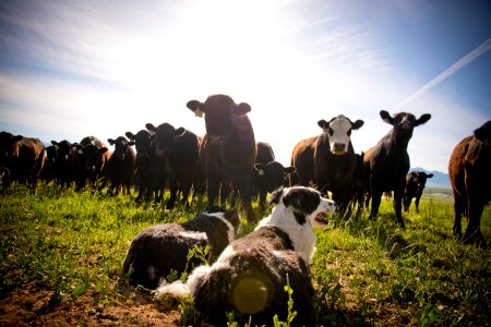 1254 NRCS projects