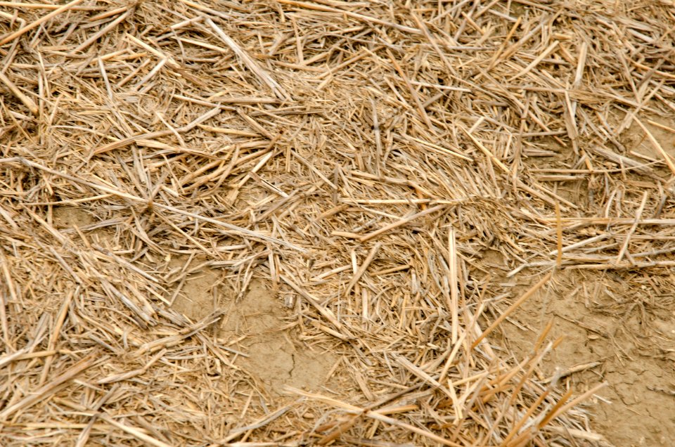 Crop Residue Management NR 01