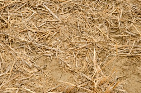 Crop Residue Management NR 01