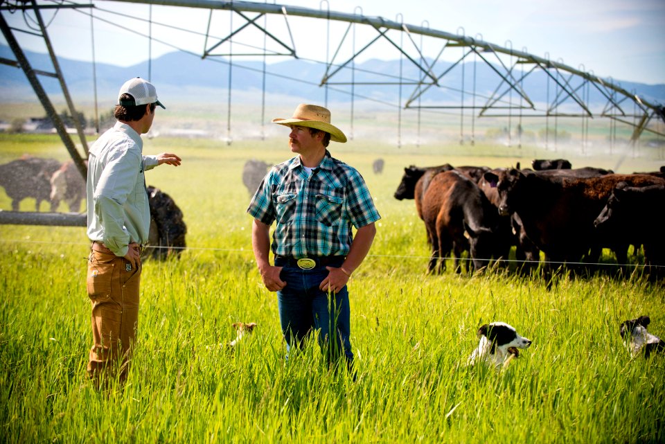 1387 NRCS projects