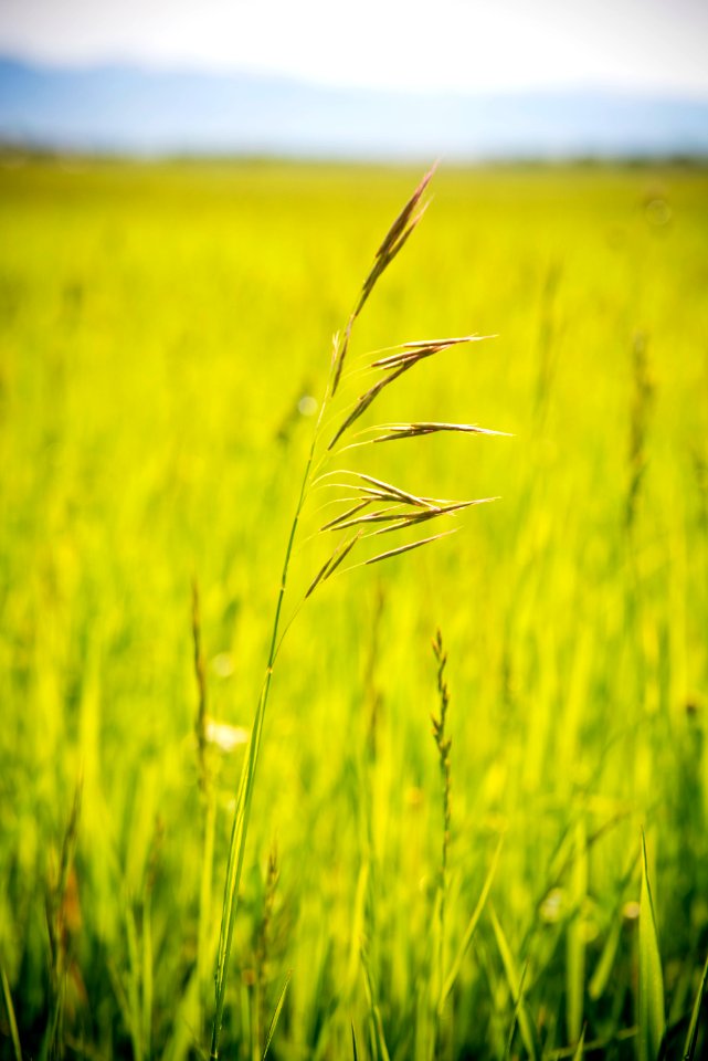 1427 NRCS projects
