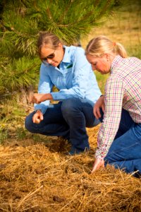 4418 NRCS projects