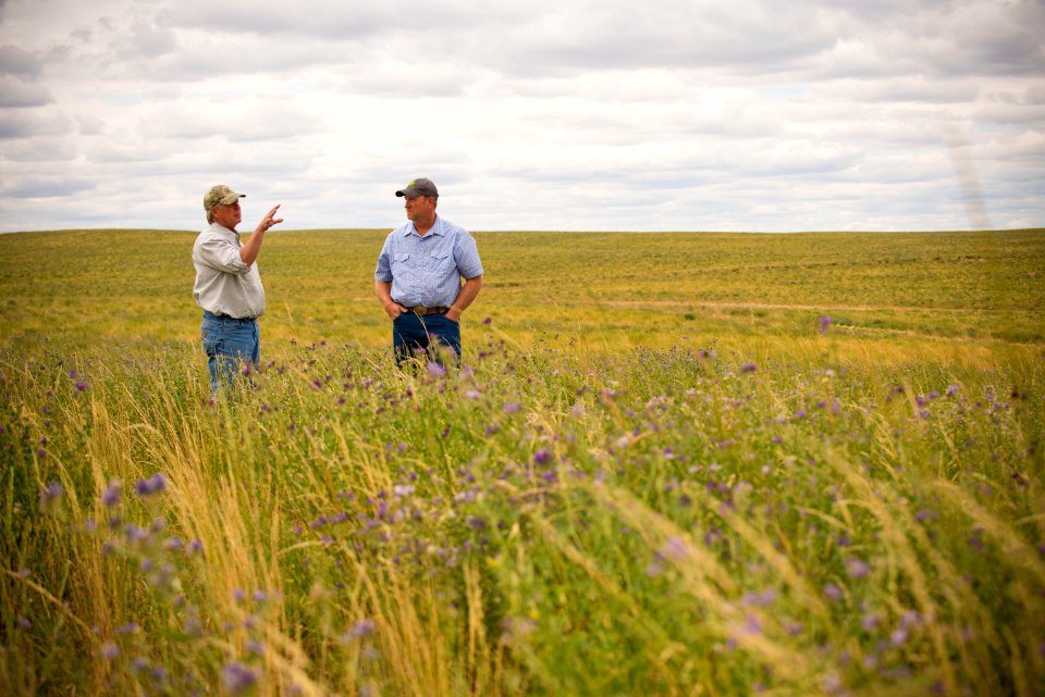 6853 NRCS projects.jpg