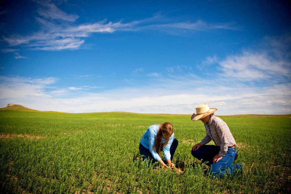 4530 NRCS projects