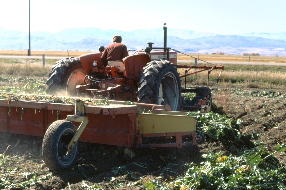 Harvest02.tif